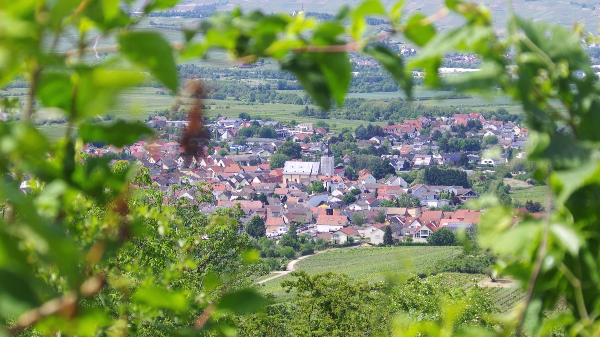 Header Background Medium