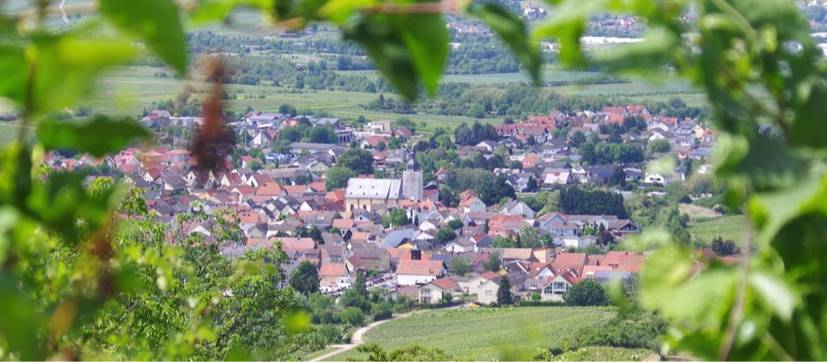 Header Background Large