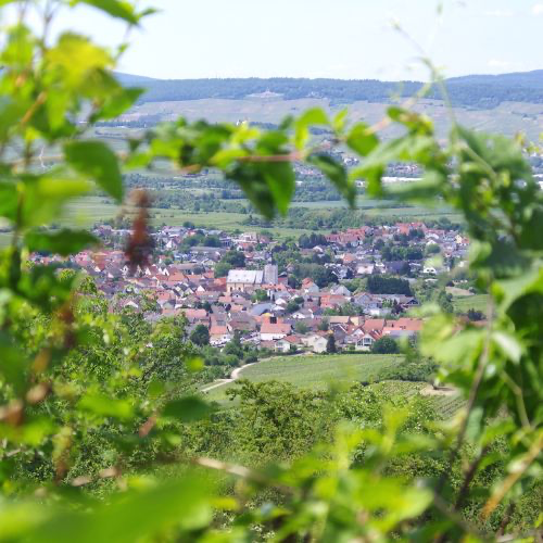 Header Background Small